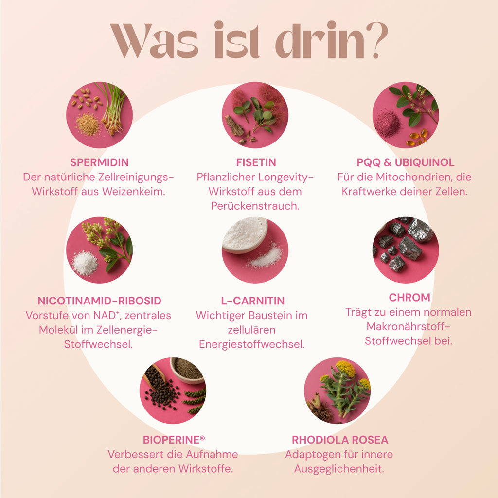 CellBoost – Longevity-Drink mit 17 Power-Stoffen | Raspberry Lemon