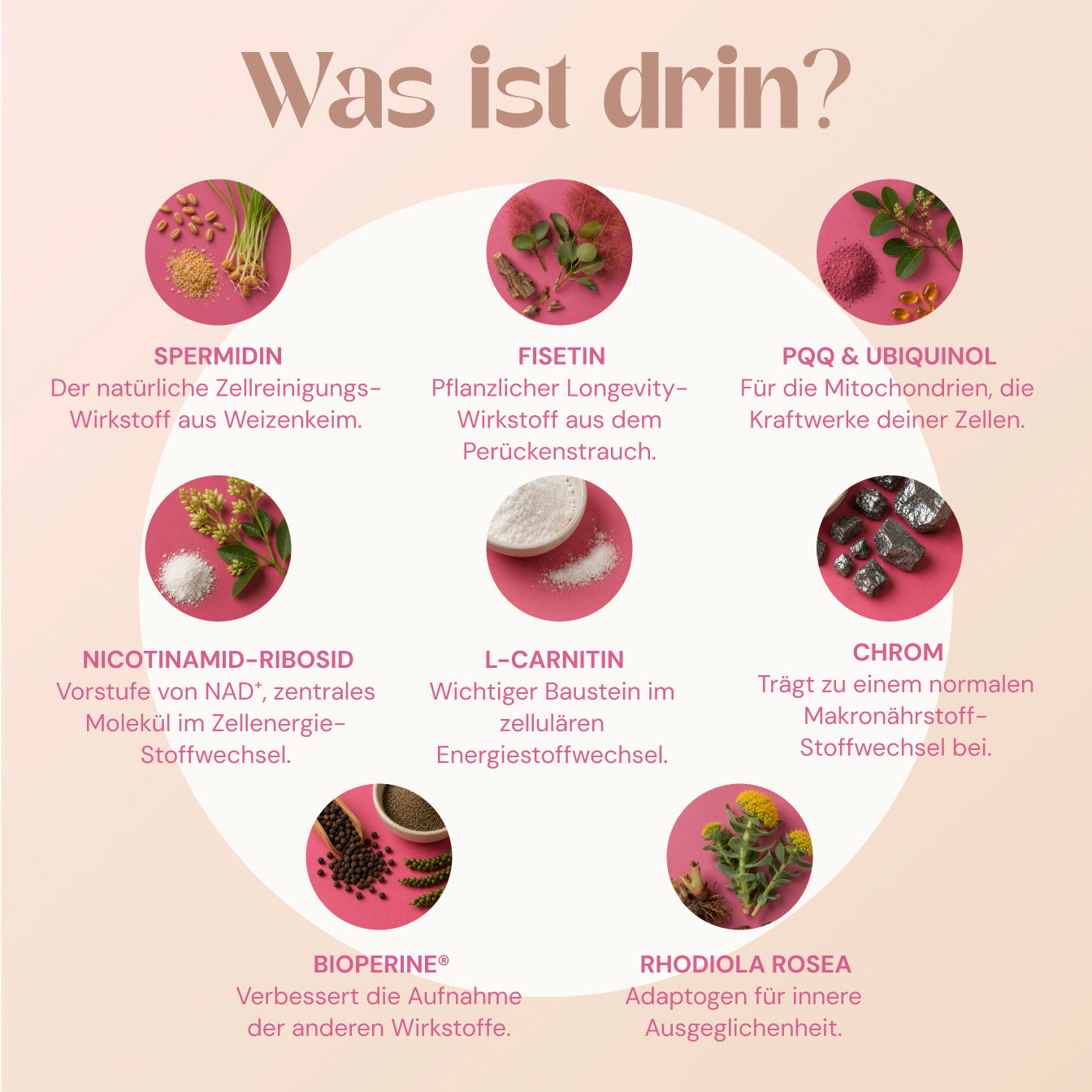 CellBoost – Longevity-Drink mit 17 Power-Stoffen | Raspberry Lemon